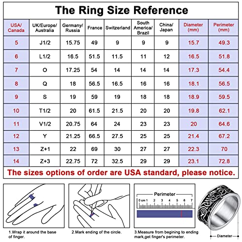 Joyerías Vikingas para Hombres Anillos Plateados Lobo Odin Acero Inoxidable 316L Talla 12 Anillos Hip Hop Germánico Edad Media Guerreros Joyerías Retros de Amulto para Familias