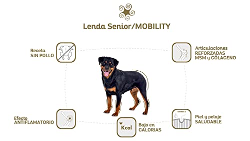 Lenda Senior / Mobility - para Perros Senior o Mascotas Adultos con Dolores Severos en Sus Articulaciones | Alimento Completo Rico en Pavo y Bajo en Calorias [12kg]
