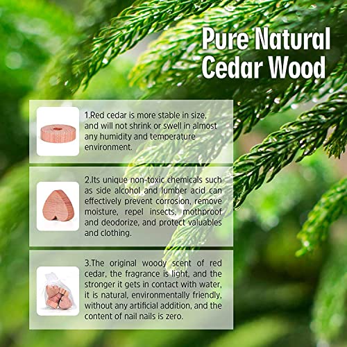 Madera de Cedro, Repelente Natural 54 Piezas Juego de Repelente contra de Polilla de Cedro Natural para Ropa Armario Cajones