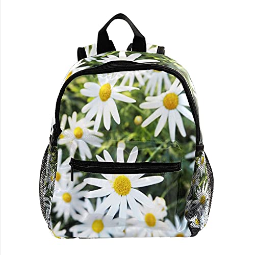 Mochila para niños Flor de manzanilla Margarita Mochila para niños Mochila Escolar Toddler Kids Mochila Escolar para niños pequeños, Mochila para 3-8 años 25.4x10x30 CM