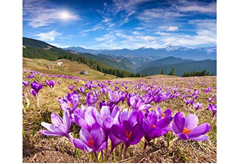 Mountain Flower Plexus Landscape 5D Diamond Painting Art Juego De Taladro Completo Taladro Completo Diy Bordado De Diamantes Paintinground Taladro Completo Bordado De Acrílico Punto De Cruz Artesperf