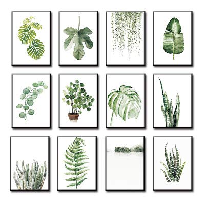 Nicole Knupfer 3pcs Art Vintage Poster Print Botanical Green Plantas Hojas Pop Ilustración Decoración de la pared (A,30x40cm)