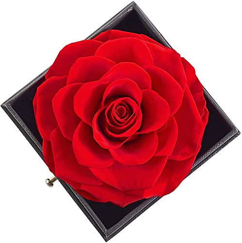 Preserved Real Rose with love you necklace in 100 lenguajes gift set- Eternal Rose Gift Box with pink Necklace, Handmade Fresh Rose Gift for Her on Birthday,Mother's Day,Valentine's Day (Red)