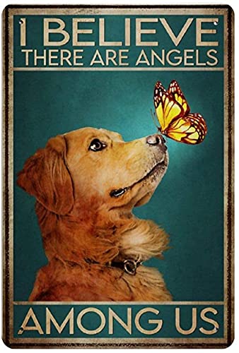 通用 Retro Personalized Art Metal Aluminum Signs I Believe There Are Angels Among Bar Pub Diner Cafe Wall Decor Home Decor Art Poster 8 x 12 Inch