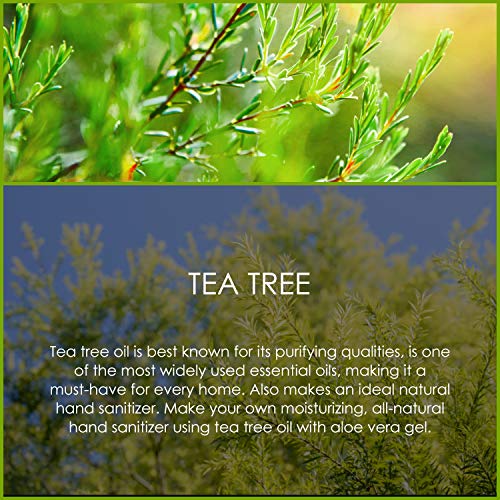 SALKING Aceite Esencial de Árbol de Té 120ml,100% Puro y Natural Aceites Esenciales para Humidificador, Aceites Esenciales Naturales Aceite Perfumado de Árbol de Té, Regalos Originales para Mujer