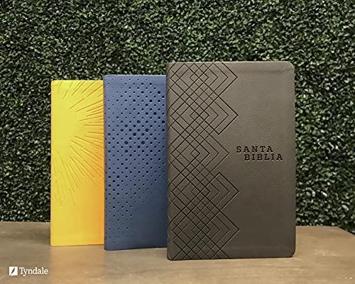 Santa Biblia NTV, Edición ágape, Noche