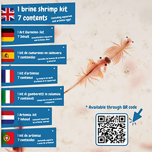 Science4you Artemias, Criaturas Jurasicas para Niños 6+ Años - Crea tu Ecosistema Acuatico con Dragones de Agua en Acuario para Niños, Set Ciencia para Niños con Artemias, Juguete Educativo