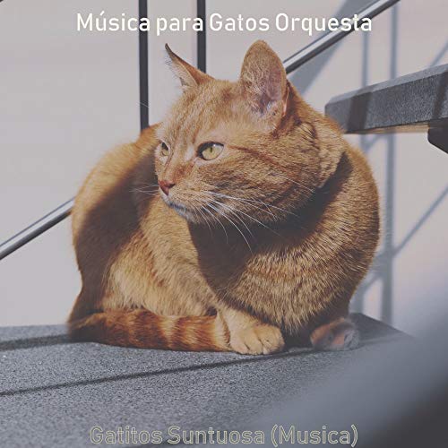 Suntuosa - Sonidos