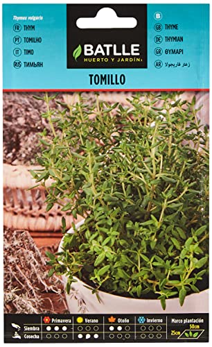 Tomillo Farigola - Thymus vulgaris