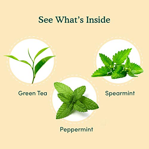 VAHDAM, Té Verde de Menta, (100 Bolsitas de Té) | Bolsas de Té de Menta FRESCA | Hojas Largas de Té Verde | Hojas de Menta y Hierbabuena 100% NATURAL