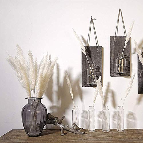 XHXSTORE 30pcs Flores Secas Naturales Blancas, Hierba de Pampas Secas Decoracion Grandes 45cm Tallo de Flor Seca Natural Pluma para Jarrones Interior Exterior Boda Hogar Fiesta Phragmites Communis