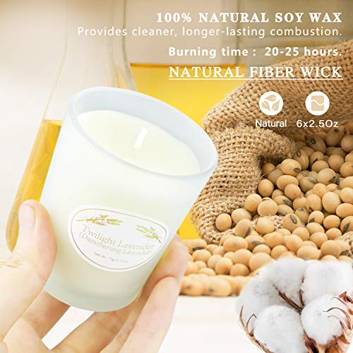 Yinuo Candle Velas Perfumadas 6 Juegos , Vidrio Mate, 150 Horas Encendidas Velas De Aromaterapia Cera De Soja Alivio Del Estrés Regalos Para Mujeres Regalos Para Ella