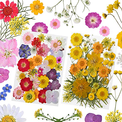 YMHPRIDE 82 Piezas DIY Conjunto de Flores secas, Margaritas secas Naturales Reales, Velas, joyería de Resina, Colgante de uñas, Manualidades para Hacer Decoraciones Florales artísticas