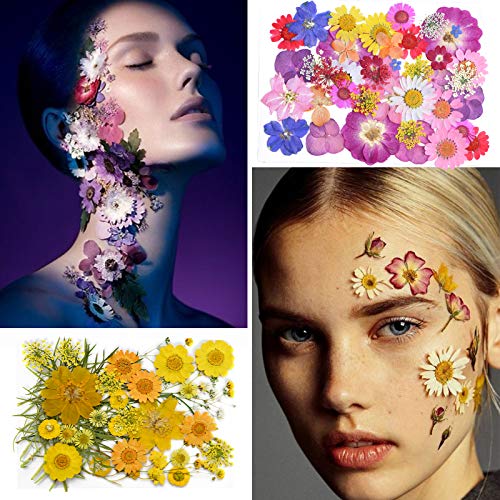 YMHPRIDE 82 Piezas DIY Conjunto de Flores secas, Margaritas secas Naturales Reales, Velas, joyería de Resina, Colgante de uñas, Manualidades para Hacer Decoraciones Florales artísticas