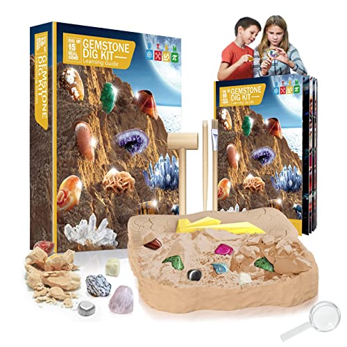 YUDIZWS Kit Cavar Piedras Preciosas Reales, Kit Científico Excavación 15 Gemas Reales, Juguetes Educativos Stem, Regalo Significativo para Niños Y Niñas,Natural
