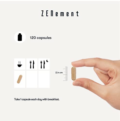 Zenement | Nootropico, con Ginkgo, Bacopa, Teanina, Tirosina y Vitaminas B, 120 Cápsulas | Memoria, Concentración, Agilidad Mental | Vegano, sin aditivos, sin alérgenos, No-GMO