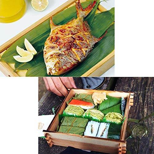 100 hojas frescas de bambú envasadas al vacío, hojas de bambú silvestres naturales para decoración de barbacoas, material Zongzi, tamaño M