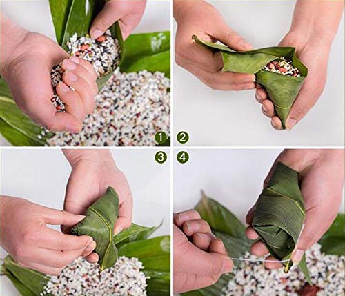 100 hojas frescas de bambú envasadas al vacío, hojas de bambú silvestres naturales para decoración de barbacoas, material Zongzi, tamaño M