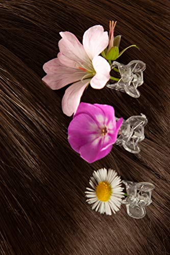 100 Mini pinzas de pelo, clips, para niñas, mujeres, orquídeas, pinzas transparentes 10 x 13