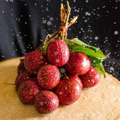 15 Piezas Semillas De Lichi Para Plantar Frutas De Colores Brillantes Con Variedades De Cáscara Roja Ampliamente Utilizadas Fácil De Cuidar Brinda Una Sensación De Logro
