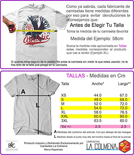 154-Camiseta Bouncy Star (by Fernando Sala Soler) (XXL, Gris Oscuro.)
