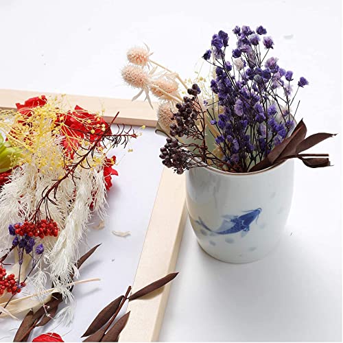 2 Cajas Flores Prensadas Secas, Flores Secas Naturales Decoración de Flores secas Naturales Flor Prensada Mezclada Juego Flores Seca Bricolaje para Decoración para Scrapbooking Velas Joyas Uñas