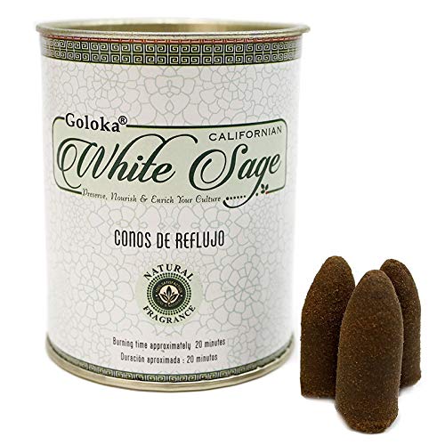 2 Paquetes DE Incienso EN Cono GOLOKA, Conos DE REFLUJO White Sage, Sabio Blanco + Bolsa DE Incienso EN Grano DORAZEN + Pastilla DE CARBÓN