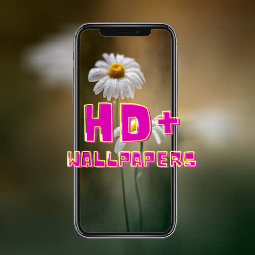 4K Daisy Wallpapers HD