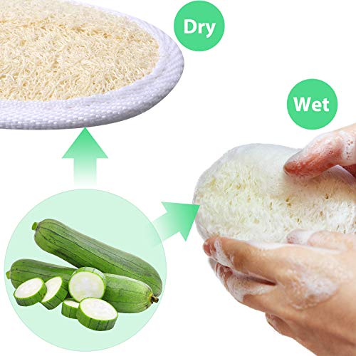 6 Almohadillas de Esponja de Lufa para Ducha Baño Esponja Exfoliante de Lufa Depurador Corporal Cepillo de Esponja de Baño Natural Cepillo Depurador de Lufa Natural para Adultos Spa