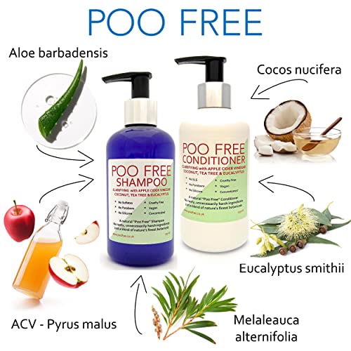 99% Natural ACONDICIONADOR CLARIFICANTE - VINAGRE DE SIDRA, COCO, ÁRBOL DE TÉ & EUCALIPTO - 250 ml de POO FREE. Sin Sulfatos, Sin Parabenos. Concentrado. pH 5.5 para Pieles Sensibles y Atópicas.