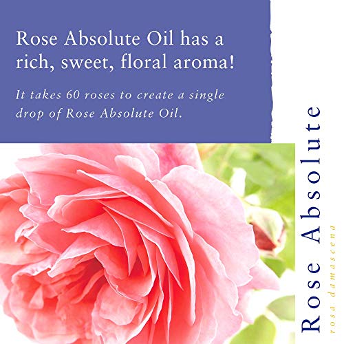 Absolute Aromas Aceite Esencial de Rosa Absoluto 2 ml - 100% Puro, Natural, Sin diluir, Vegano y Libre de crueldad animal - para usar en Difusores y mezclas de Aromaterapia - Un Perfume y Afrodisíaco Natural