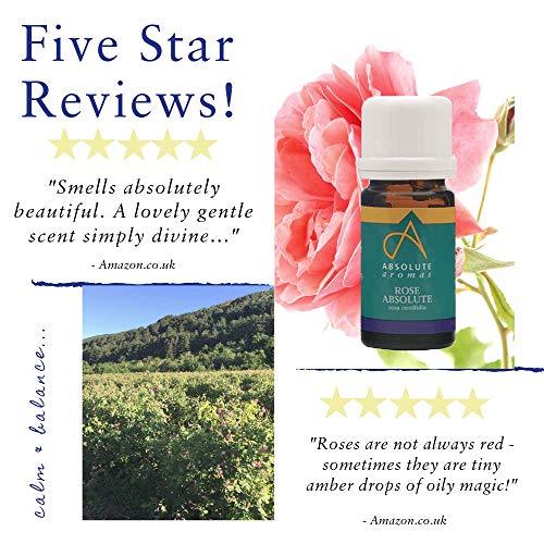 Absolute Aromas Aceite Esencial de Rosa Absoluto 2 ml - 100% Puro, Natural, Sin diluir, Vegano y Libre de crueldad animal - para usar en Difusores y mezclas de Aromaterapia - Un Perfume y Afrodisíaco Natural