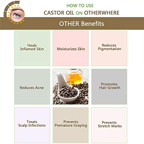 Aceite de Ricino Estimula el Crecimiento del Cabello las Pestañas y las cejas Refuerza las uñas, gran Remedio para la Piel de la Cara y del Cuerpo con kit de Aplicador de Tratamiento