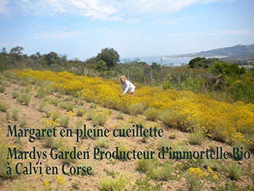 Aceite Esencial BIO Immortelle (Helichrysum Italicum ssp Italicum) 5ml | Siempreviva Amarilla, Helicriso orgánico | Destilado en Córcega 100% puro 100% natural