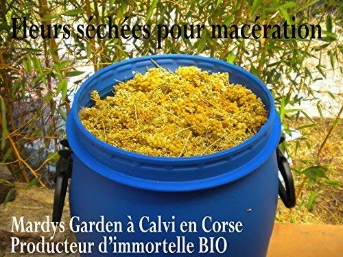 Aceite Esencial BIO Immortelle (Helichrysum Italicum ssp Italicum) 5ml | Siempreviva Amarilla, Helicriso orgánico | Destilado en Córcega 100% puro 100% natural