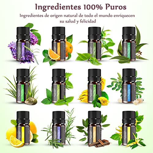 Aceite Esencial de Aromaterapia 12*5ml- Juego de Aceite 100% Puro, Lavanda, Naranja Dulce, Árbol de Té, Eucalipto, Hierba de Limón, Menta, Bergamota, Incienso, Limón, Romero, Canela y Ylang-Ylang