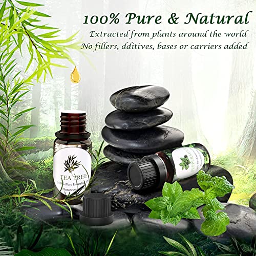 Aceites Esenciales Aromaterapia TOP 7 x 10ml, Aceites Esenciales para Humidificador Difusor 100% Puro & Naturales, Menta, Limón, Limoncillos, Lavanda, Eucalipto, Naranja Dulce, Árbol de Té