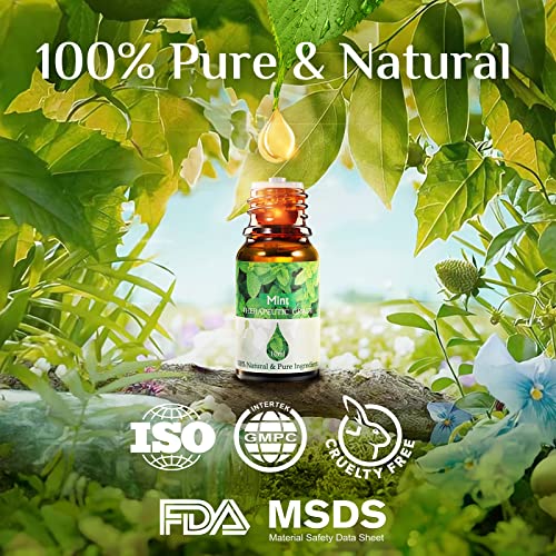 Aceites Esenciales para Humidificador 6Pcs-Aceites Esenciales Naturales para Difusor-Esencias Aromaticas-Limón, Arbol de Té, Menta, Lavanda, Naranja Dulce y Eucalipto,Regalos Originales para Mujer