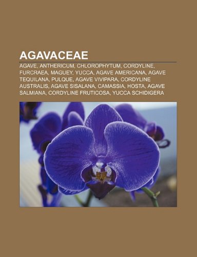 Agavaceae: Agave, Anthericum, Chlorophyt: Agave, Anthericum, Chlorophytum, Cordyline, Furcraea, Maguey, Yucca, Agave americana, Agave tequilana, ... Cordyline fruticosa, Yucca schidigera