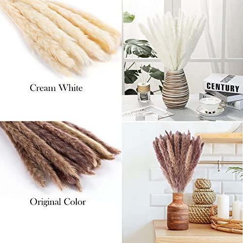AIOR 30 Piezas Pampas Secas Naturales de Hierba, 60cm Flores Secas Estilo Bohemio Plantas, Decoracion para Florero Jarrones Mesa Comedor Hogar Boda Fiesta Arreglos de Otoño (Marrón)