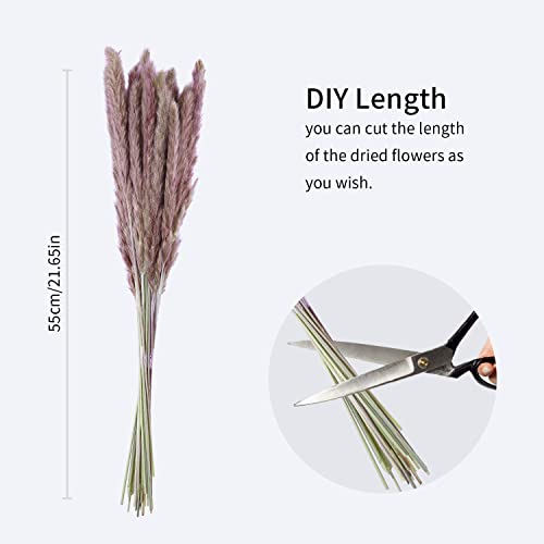AIOR 30 Piezas Pampas Secas Naturales de Hierba, 60cm Flores Secas Estilo Bohemio Plantas, Decoracion para Florero Jarrones Mesa Comedor Hogar Boda Fiesta Arreglos de Otoño (Marrón)