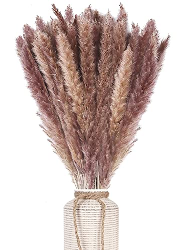 AIOR 30 Piezas Pampas Secas Naturales de Hierba, 60cm Flores Secas Estilo Bohemio Plantas, Decoracion para Florero Jarrones Mesa Comedor Hogar Boda Fiesta Arreglos de Otoño (Marrón)