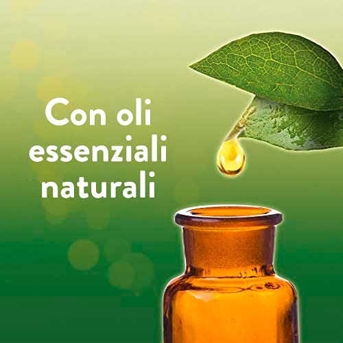 Air Wick - 1 Difusor + 2 recambios para spray automático Freshmatic - Fragancia Pure Perfume de Primavera