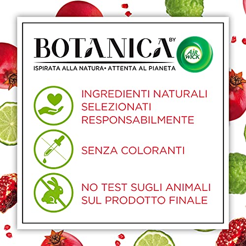 Airwick Botanica - Ambientador con difusor de varillas, aroma de granada y bergamota italiana, aroma natural, paquete de 80 ml