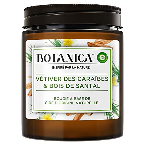 Airwick Botanica - Vela perfumada de cera de origen natural para vetiver del Caribe y madera de sándalo, 205 g