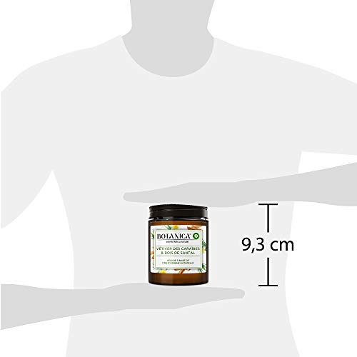 Airwick Botanica - Vela perfumada de cera de origen natural para vetiver del Caribe y madera de sándalo, 205 g