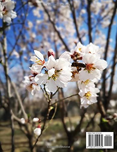 Almond Blossom Journal (Diary, Notebook): 120-Page Lined Art Notebook