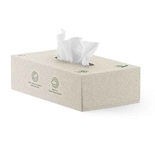 Amazon Aware Pañuelos faciales, fabricados con papel 100% reciclado, 15 cajas, 100 pañuelos de 4 capas por caja