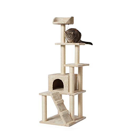 Amazon Basics - Árbol con varias torres para gatos, grande, 61x154,9x48,3 cm, beige