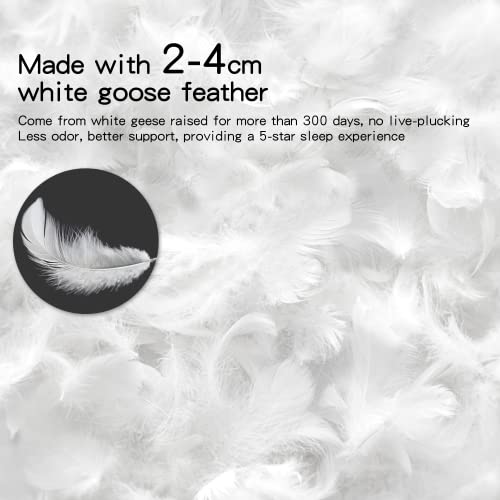 Amazon Brand - Umi Almohadas de Plumón y Plumas de Ganso Blanco con Bordes Grises con Cubierta de 100% Algodón, Anti-ácaros, Blanco, 48x74cm, Pack de 2